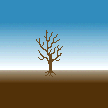 gif animation - The Seasons