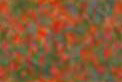 based on a Monet painting
