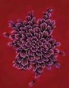 flower on velvet